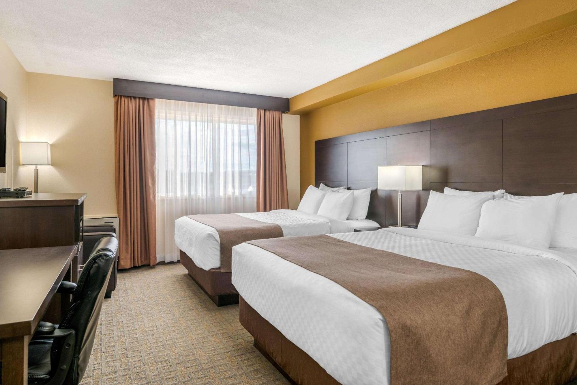 Quality Inn & Suites Bathurst Habitación foto