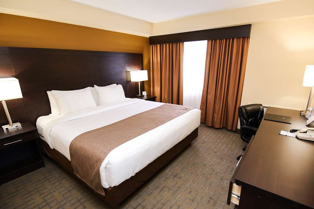 Quality Inn & Suites Bathurst Habitación foto